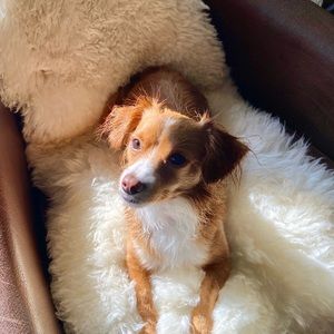 Meet your Posher, Debra